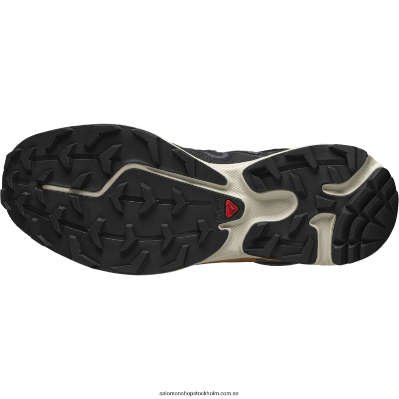 Salomon svart/ebenholts/marmelad sportskor för män - xt-rush verktyg T82RP125