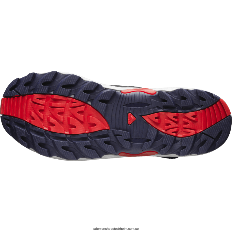 Salomon svart/legering/gojibär sportskor för män - xa pro 1 mid gore-tex T82RP199