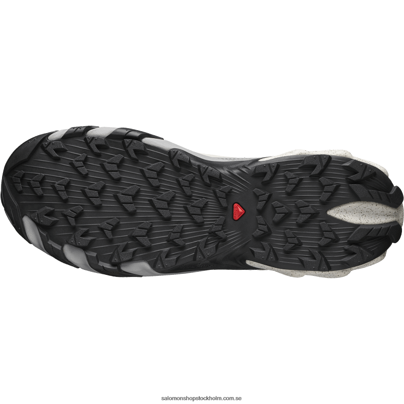 Salomon svart/nimbusmoln/legering sportskor för män - speedverse prg T82RP120