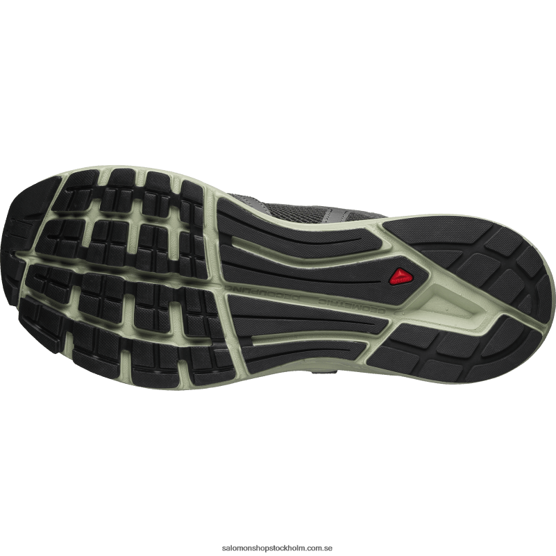 Salomon tenn/ökensalvia/beluga sportskor för män - techsonic läder T82RP176
