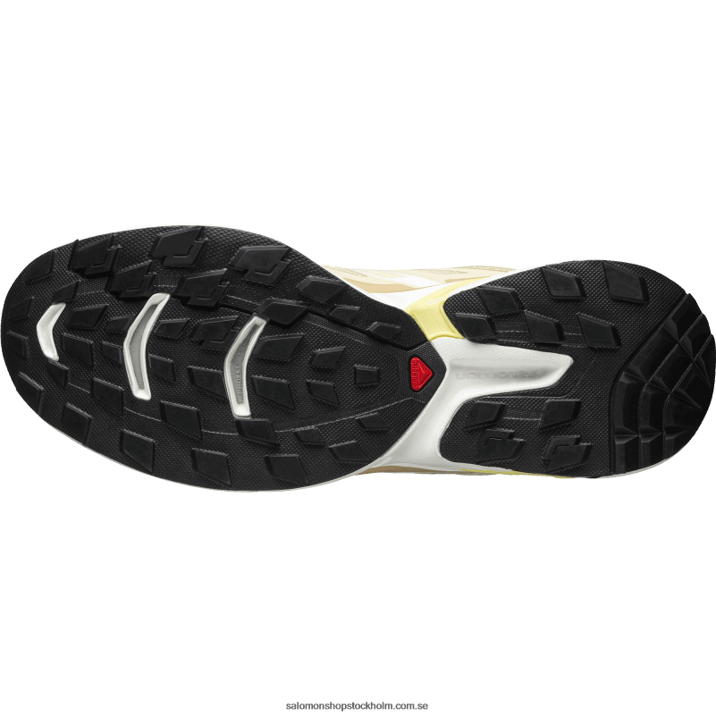 Salomon turtelduva/vit/hasselnöt sportskor för män - xt-wings 2 T82RP192