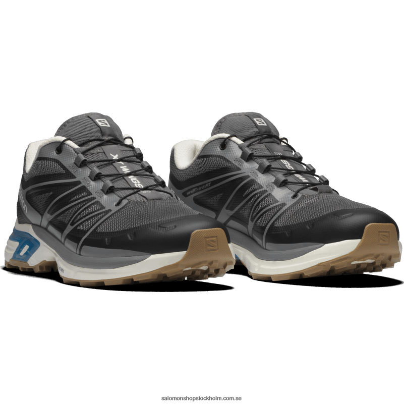 Salomon tyst nyans/vaniljis/blå aster sportskor för män - xt-wings 2 T82RP191