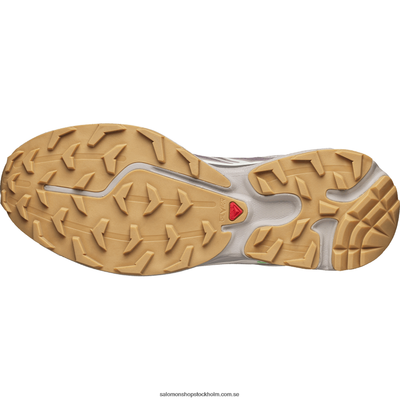 Salomon vaktel/plommonkattunge/vaniljis sportskor för män - xt-6 T82RP80