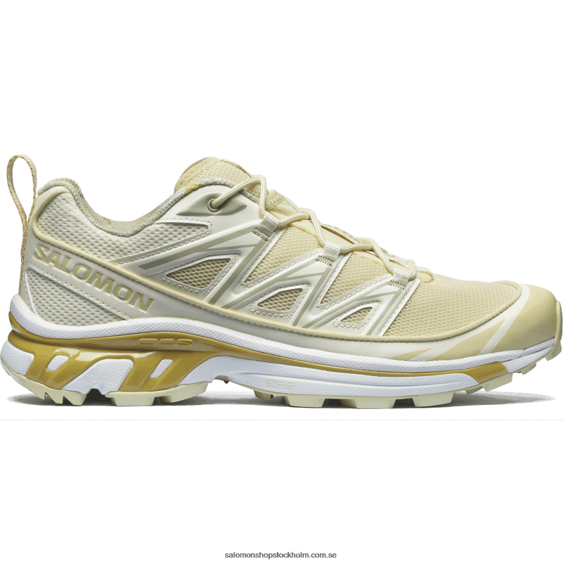 Salomon vaniljglass/ökensalvia/taffy sportskor för män - xt-6 expanse stuga kärna T82RP142