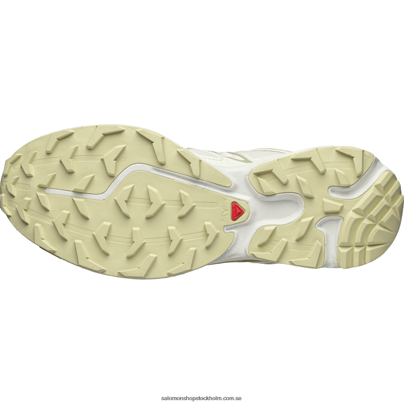 Salomon vaniljglass/ökensalvia/taffy sportskor för män - xt-6 expanse stuga kärna T82RP142