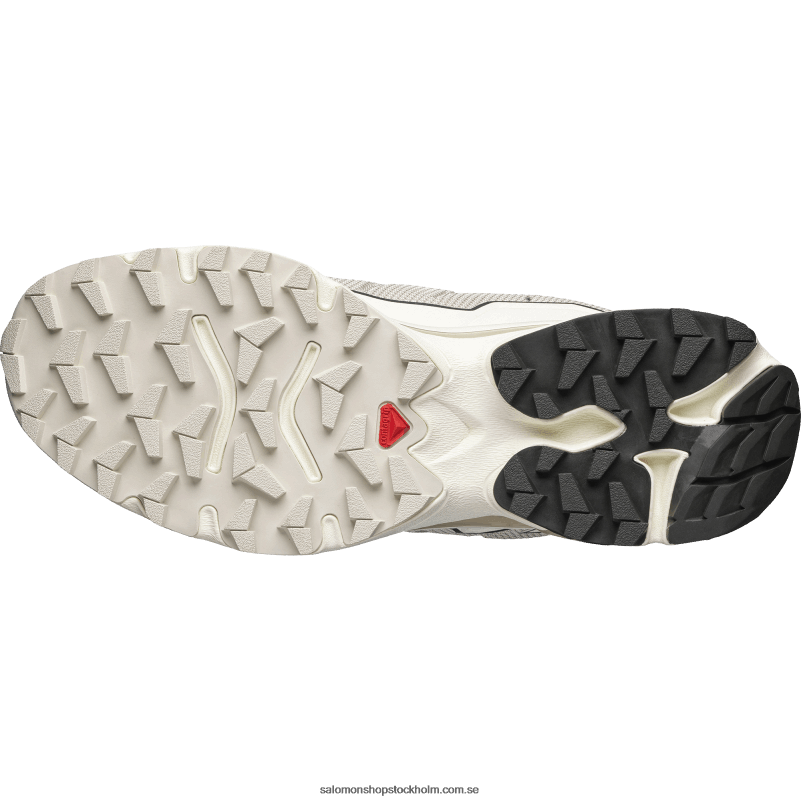 Salomon vaniljglass/regnig dag/torv sportskor för män - xt-slate advanced T82RP151