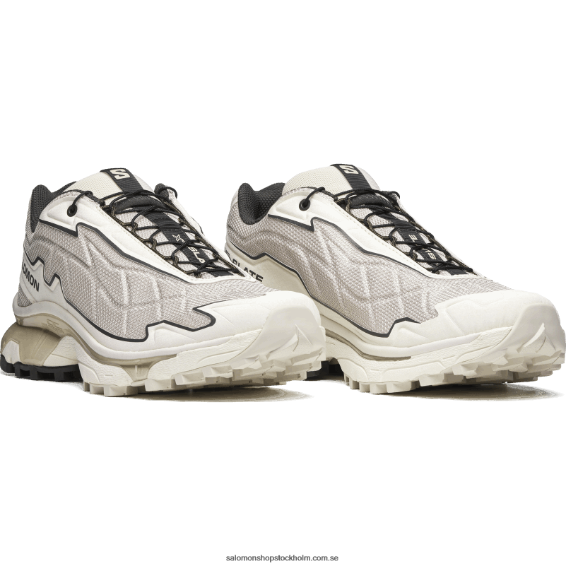 Salomon vaniljglass/regnig dag/torv sportskor för män - xt-slate advanced T82RP151