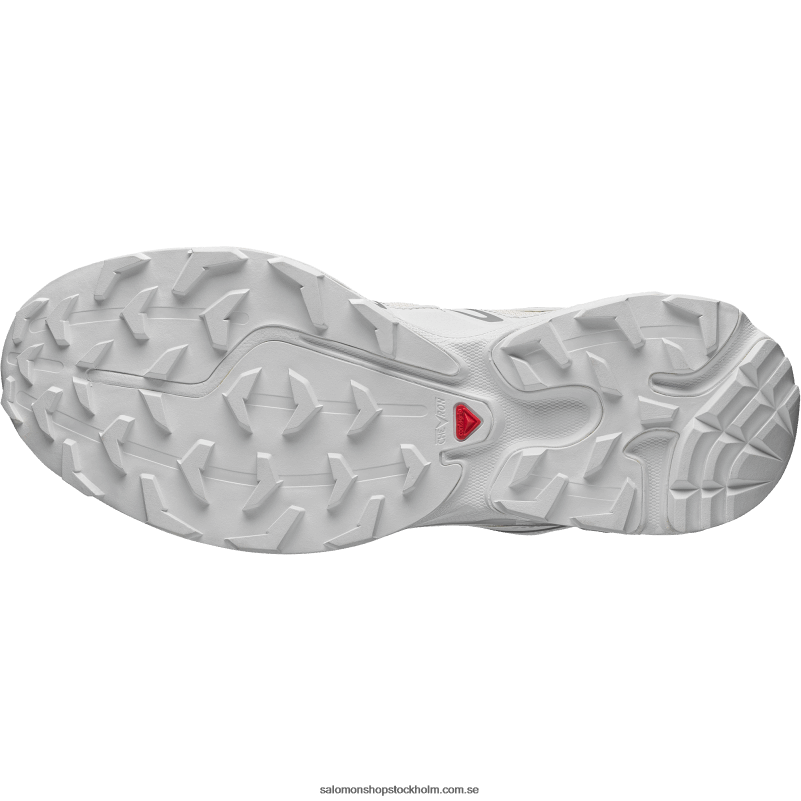 Salomon vaniljglass/vit/legering sportskor för män - xt-6 expanse T82RP102