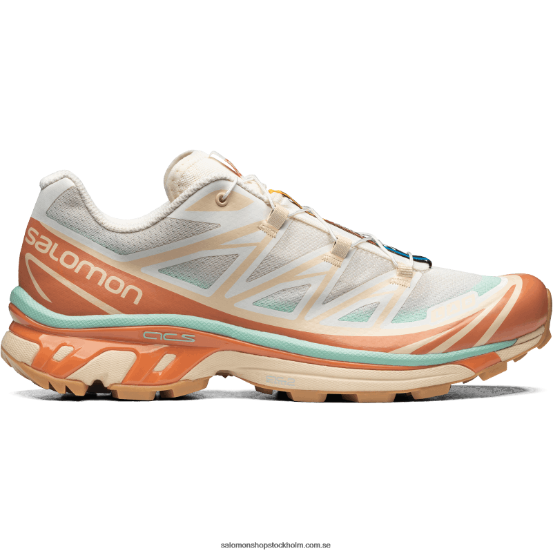 Salomon vaniljglass/yucca/solbakad sportskor för män - xt-6 skyline T82RP130