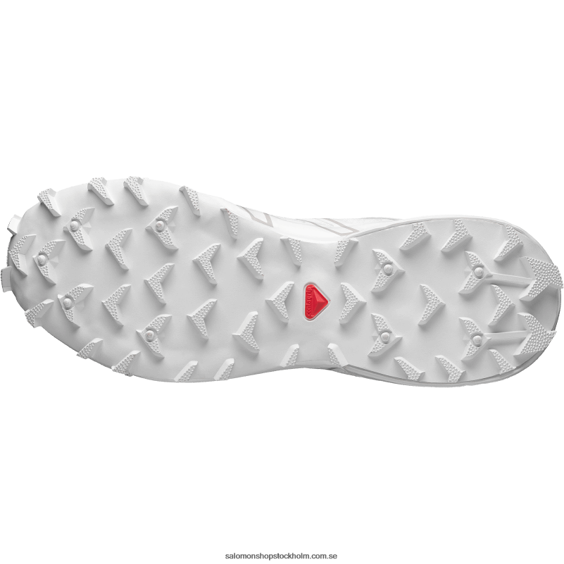 Salomon vit/månsten sportskor för män - snowcross T82RP129