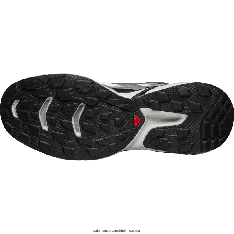 Salomon vit/silver metallic x/svart sportskor för män - xt-wings 2 T82RP194