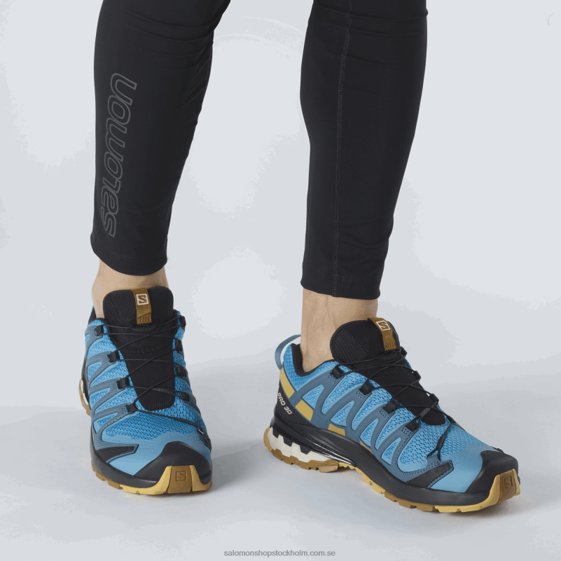 Salomon barriärrev/falllöv/bronsbrun terrängskor för män - xa pro 3d v8 T82RP1480