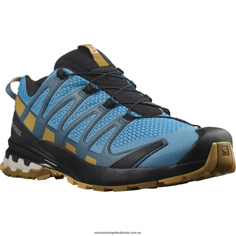 Salomon barriärrev/falllöv/bronsbrun terrängskor för män - xa pro 3d v8 T82RP1480