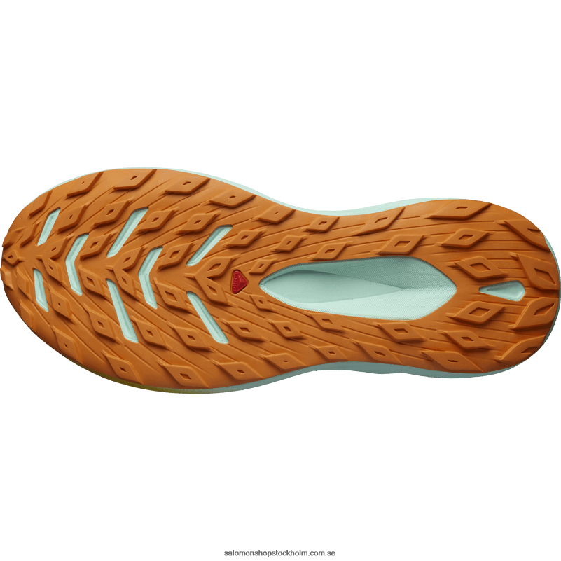 Salomon blekt sand/yucca/apelsinpeppar herrlöparskor - glide max tr T82RP1446