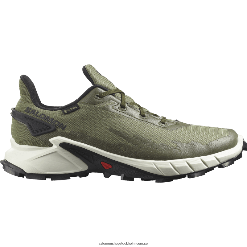 Salomon djup lavgrön/vaniljis/olivnatt traillöparskor för män - alphacross 4 gore-tex T82RP1476
