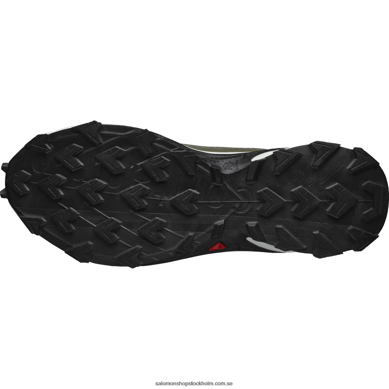Salomon djup lavgrön/vaniljis/olivnatt traillöparskor för män - alphacross 4 gore-tex T82RP1476