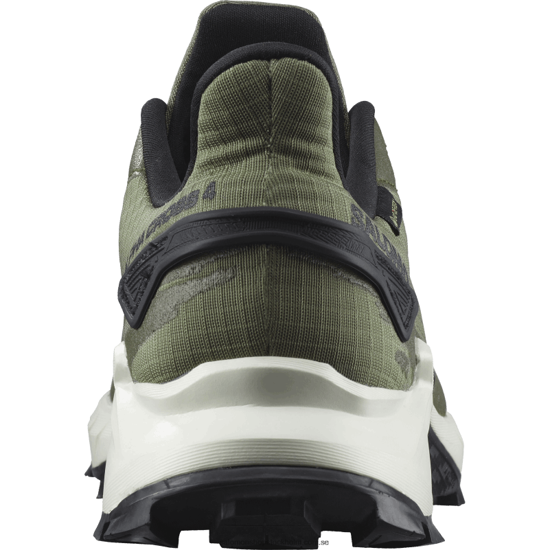 Salomon djup lavgrön/vaniljis/olivnatt traillöparskor för män - alphacross 4 gore-tex T82RP1476