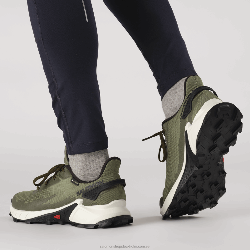 Salomon djup lavgrön/vaniljis/olivnatt traillöparskor för män - alphacross 4 gore-tex T82RP1476