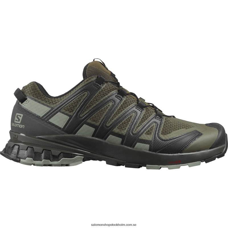 Salomon druvblad/torv/skugga traillöparskor för män - xa pro 3d v8 wide T82RP1473