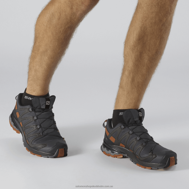 Salomon ebenholts/kolacafé/svart trail löparskor för män - xa pro 3d v8 gore-tex T82RP1481