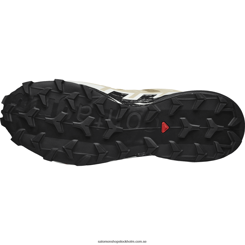 Salomon kelp/svart/vaniljis traillöparskor för män - speedcross 6 gore-tex T82RP1466