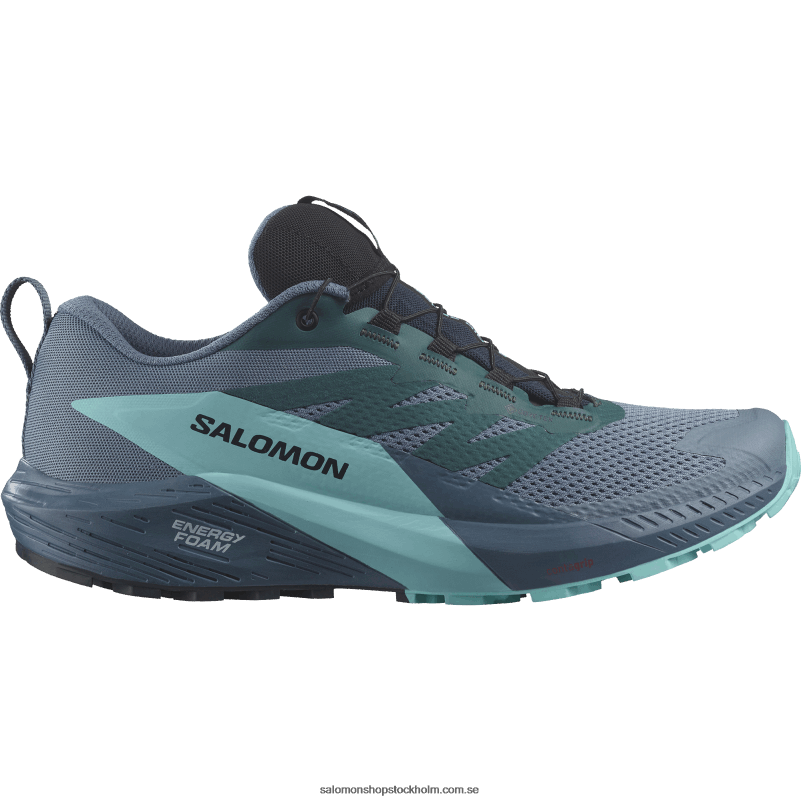 Salomon kol/blå utstrålning/kinablå traillöparskor för män - sense ride 5 gore-tex T82RP1445
