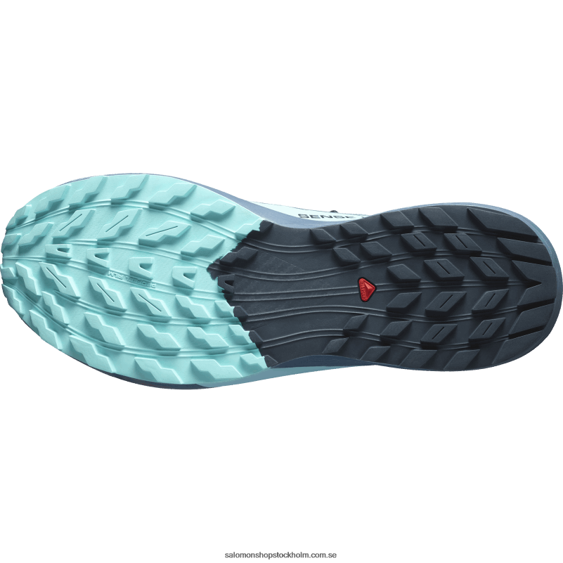 Salomon kol/blå utstrålning/kinablå traillöparskor för män - sense ride 5 gore-tex T82RP1445
