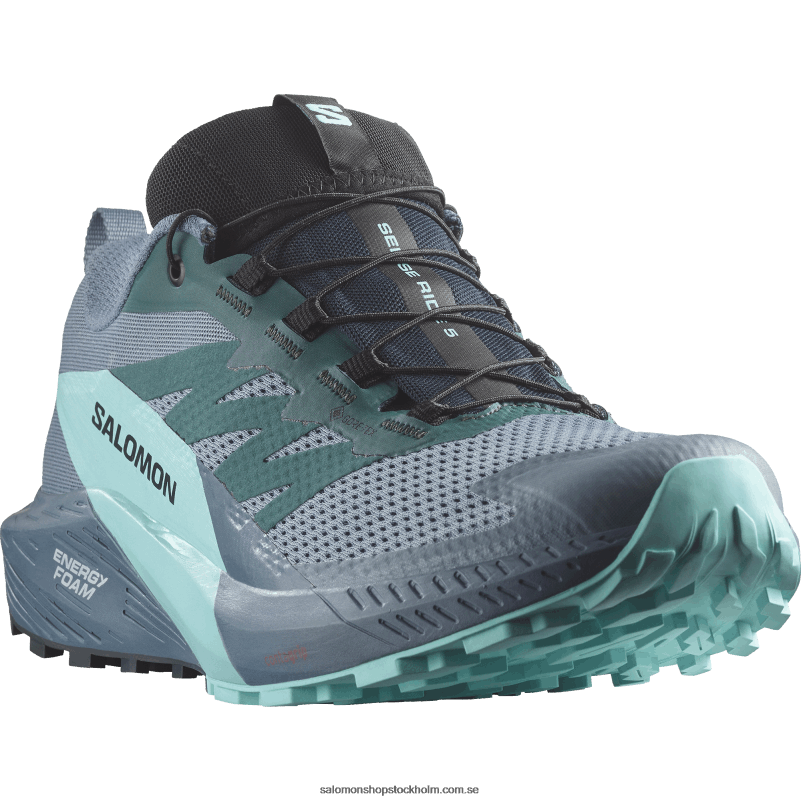 Salomon kol/blå utstrålning/kinablå traillöparskor för män - sense ride 5 gore-tex T82RP1445