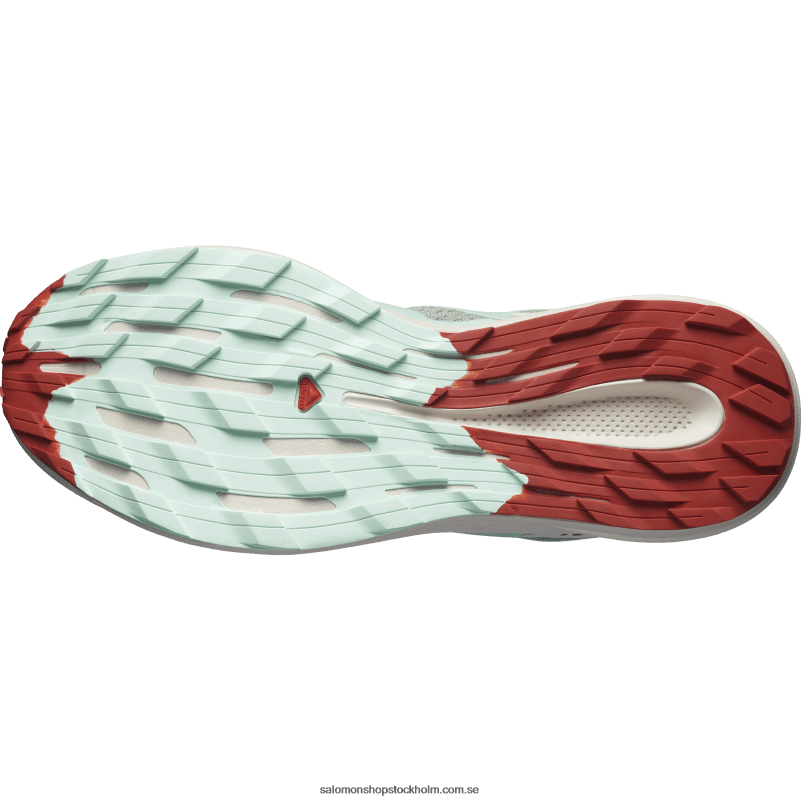 Salomon liljepad/blekt aqua/het sås trail löparskor för män - pulsar trail T82RP1464