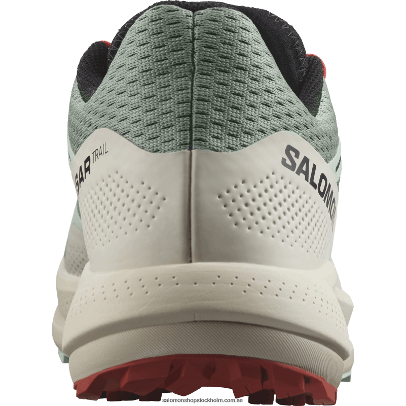 Salomon liljepad/blekt aqua/het sås trail löparskor för män - pulsar trail T82RP1464