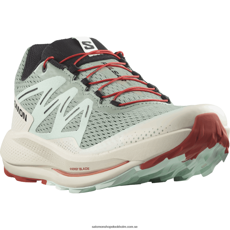 Salomon liljepad/blekt aqua/het sås trail löparskor för män - pulsar trail T82RP1464