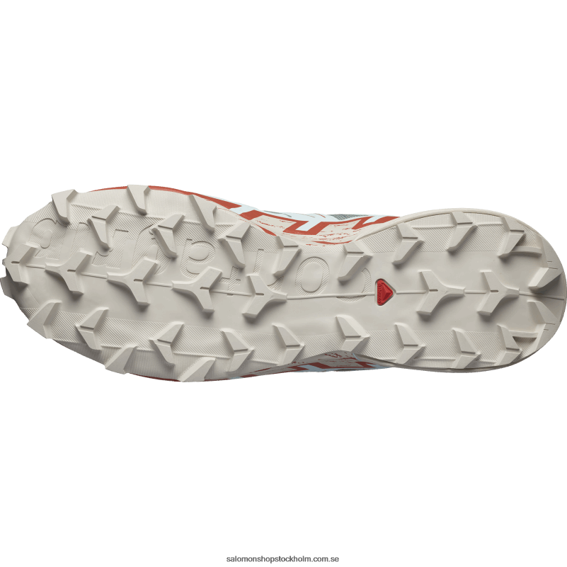 Salomon liljepad/regnig dag/blekt aqua Traillöparskor för män - speedcross 6 T82RP1454