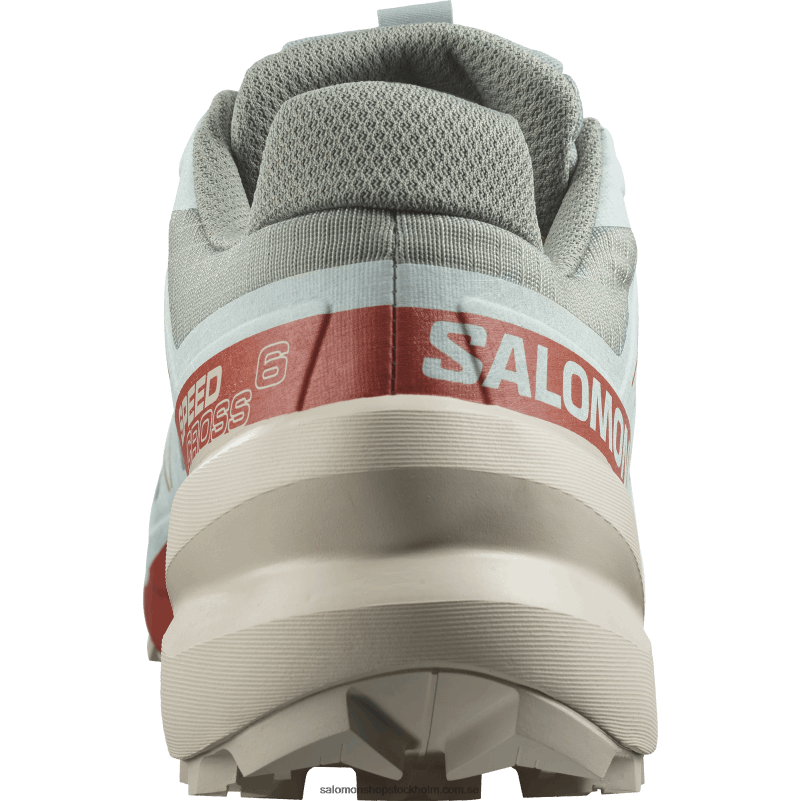 Salomon liljepad/regnig dag/blekt aqua Traillöparskor för män - speedcross 6 T82RP1454