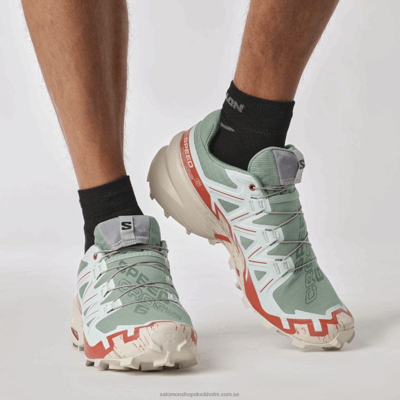 Salomon liljepad/regnig dag/blekt aqua Traillöparskor för män - speedcross 6 T82RP1454