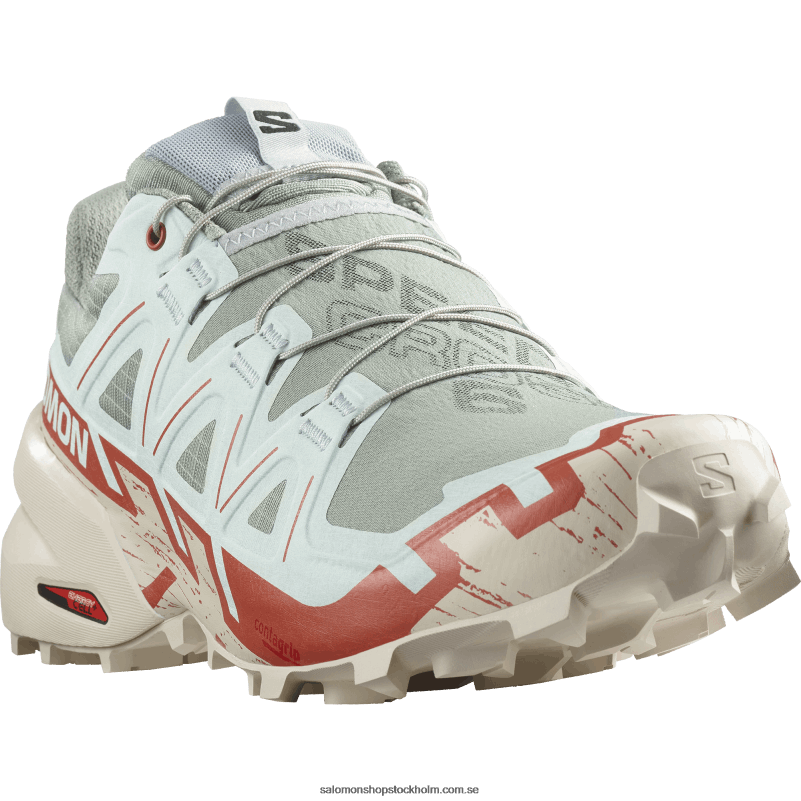Salomon liljepad/regnig dag/blekt aqua Traillöparskor för män - speedcross 6 T82RP1454
