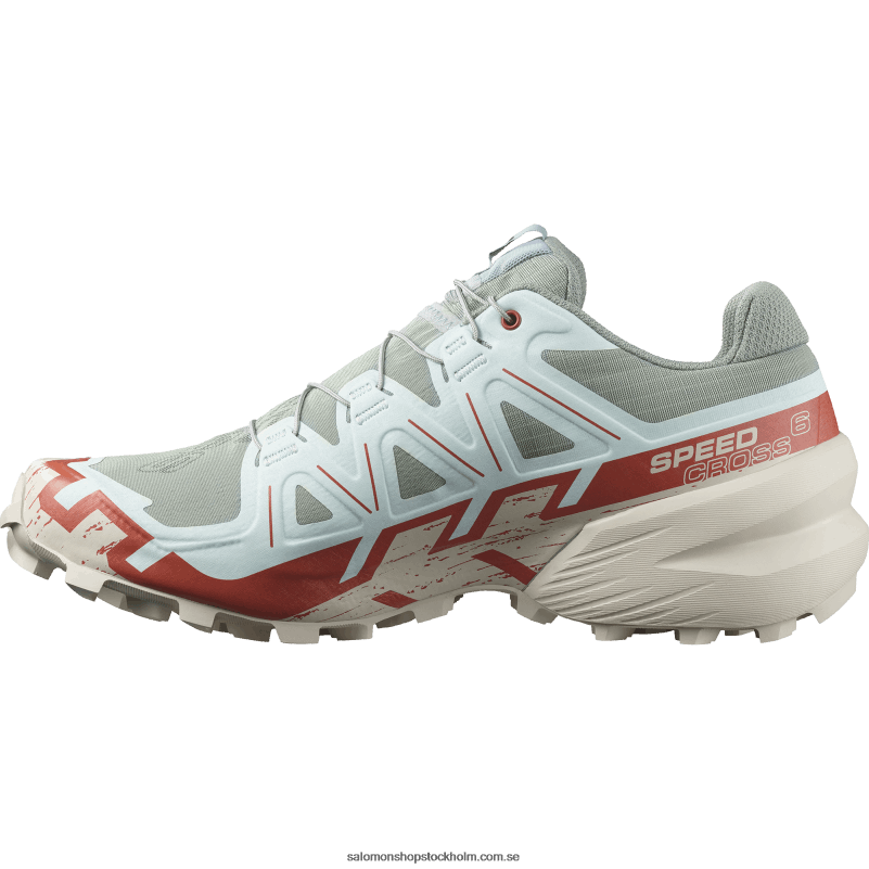 Salomon liljepad/regnig dag/blekt aqua Traillöparskor för män - speedcross 6 T82RP1454