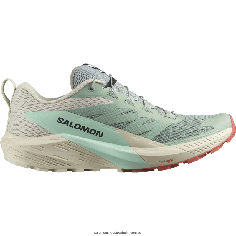Salomon liljepad/regnig dag/blekt aqua traillöparskor för män - sense ride 5 T82RP1433