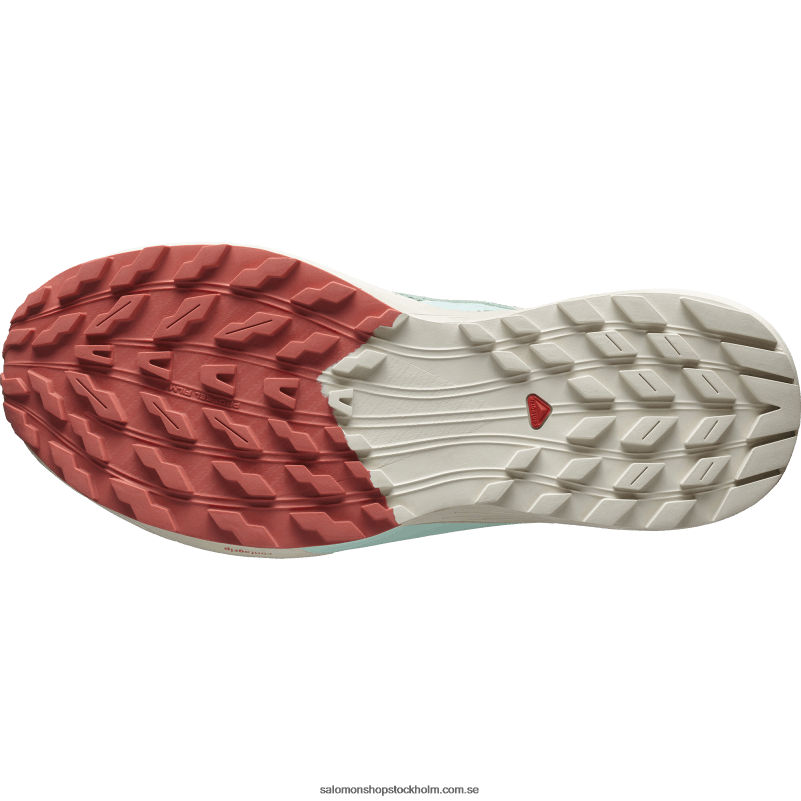 Salomon liljepad/regnig dag/blekt aqua traillöparskor för män - sense ride 5 T82RP1433