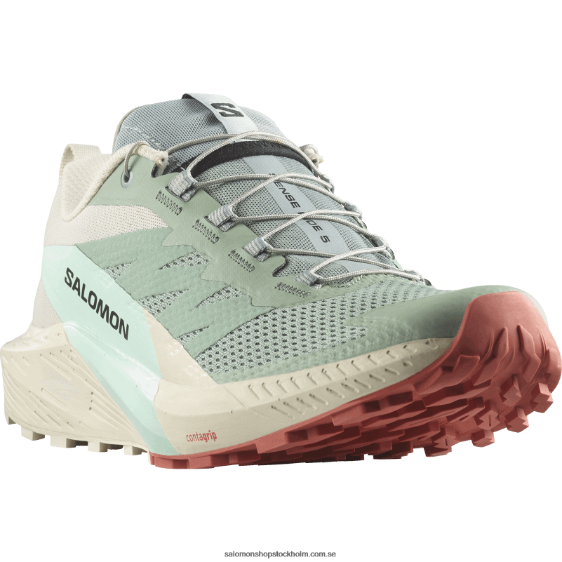 Salomon liljepad/regnig dag/blekt aqua traillöparskor för män - sense ride 5 T82RP1433
