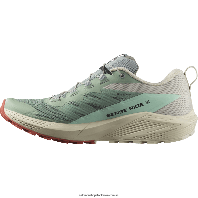 Salomon liljepad/regnig dag/blekt aqua traillöparskor för män - sense ride 5 T82RP1433