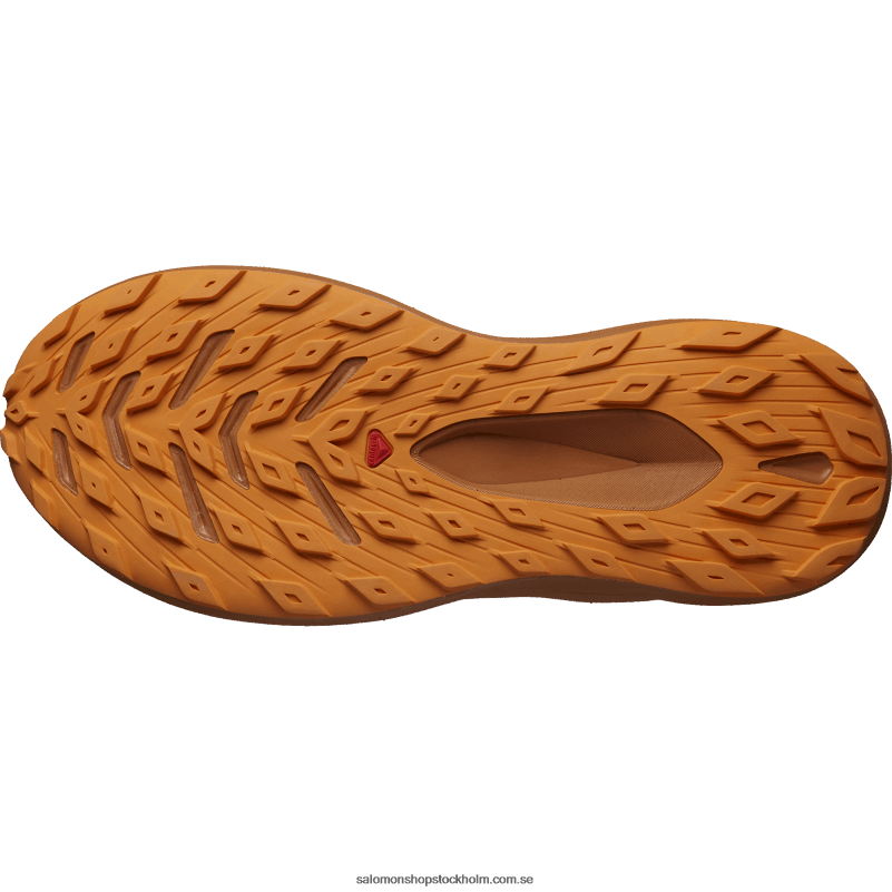 Salomon mörk safir/sockermandel/apelsinpeppar herrlöparskor - glide max tr T82RP1447