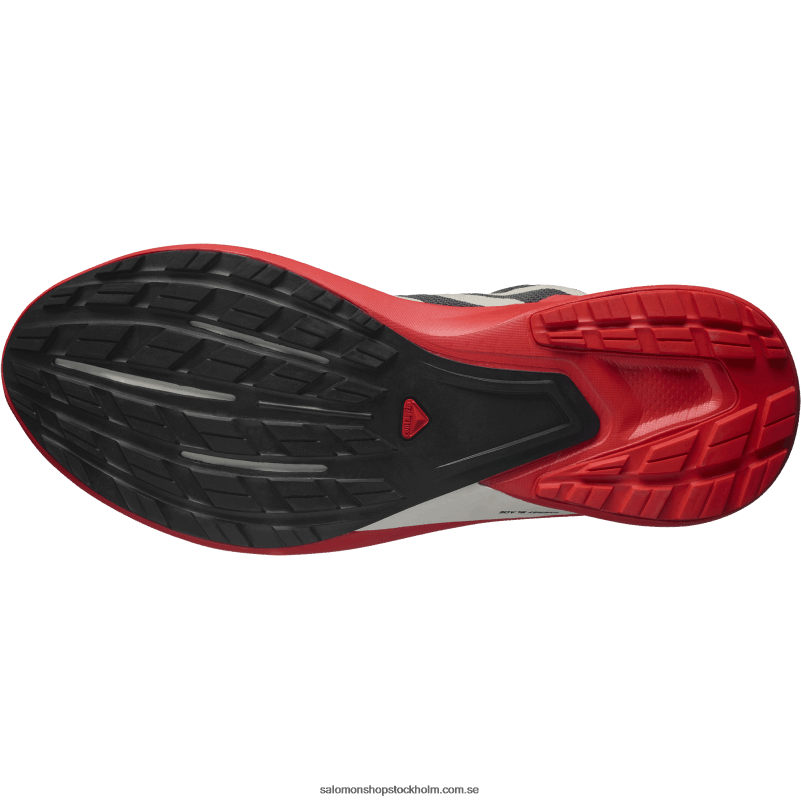 Salomon magnet/vallmoröd/svart mäns traillöparskor - hypuls T82RP1484