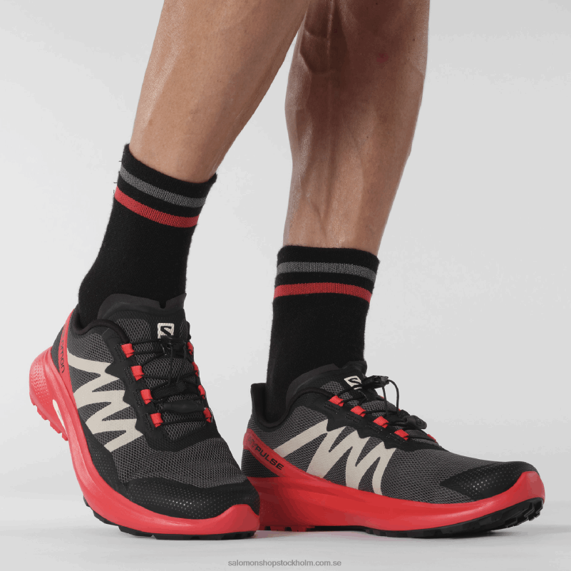 Salomon magnet/vallmoröd/svart mäns traillöparskor - hypuls T82RP1484