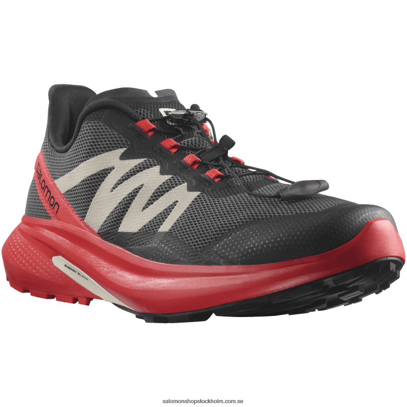 Salomon magnet/vallmoröd/svart mäns traillöparskor - hypuls T82RP1484
