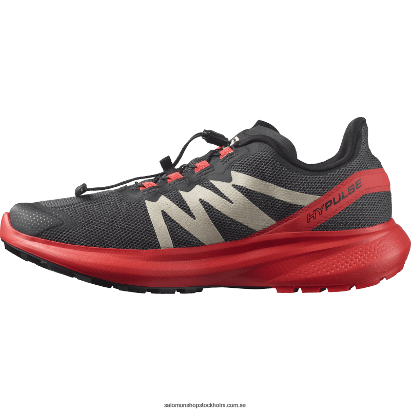Salomon magnet/vallmoröd/svart mäns traillöparskor - hypuls T82RP1484