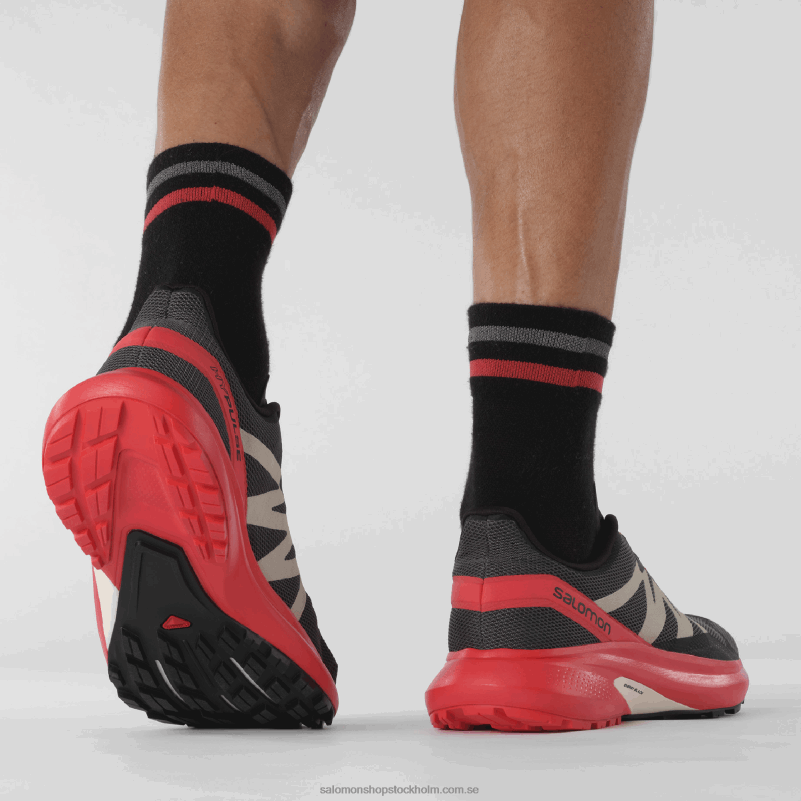 Salomon magnet/vallmoröd/svart mäns traillöparskor - hypuls T82RP1484