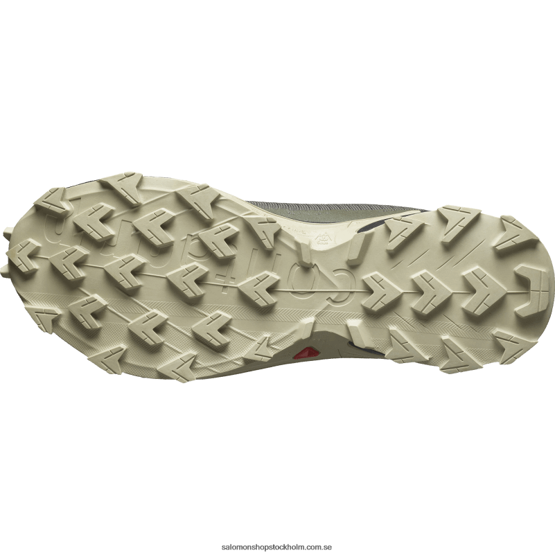 Salomon oliv natt/svart/moggrå traillöparskor för män - alphacross 4 gore-tex T82RP1477