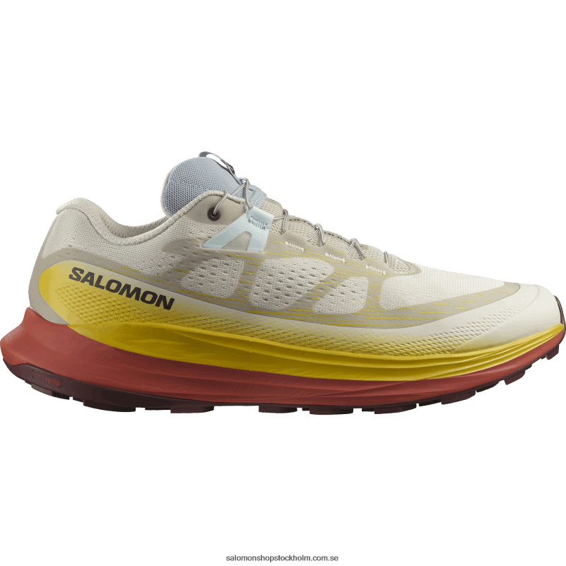 Salomon regnig dag/fresia/het sås Traillöparskor för män - ultra glide 2 T82RP1441