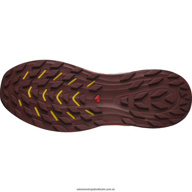 Salomon regnig dag/fresia/het sås Traillöparskor för män - ultra glide 2 T82RP1441