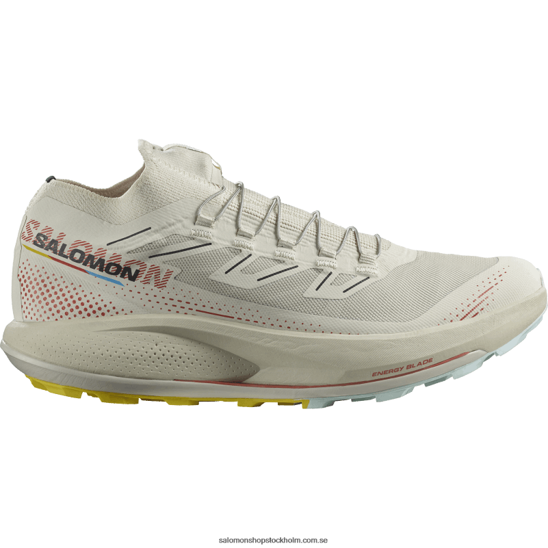 Salomon regnig dag/het sås/fresia Traillöparskor för män - pulsar trail pro 2 T82RP1437